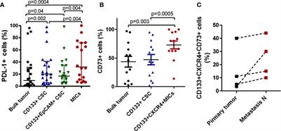 CXCR4 Inhibition Counteracts Immunosuppressive Properties of Metastatic NSCLC Stem Cells